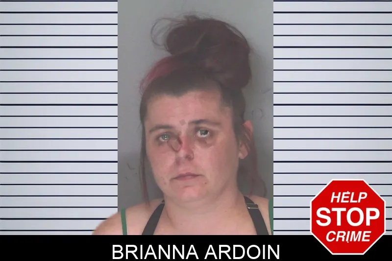 Brianna Ardoin mugshot