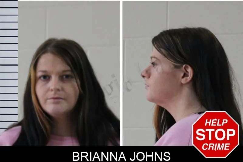 Brianna Johns mugshot – Houston County , Georgia Brianna Johns mugshot
