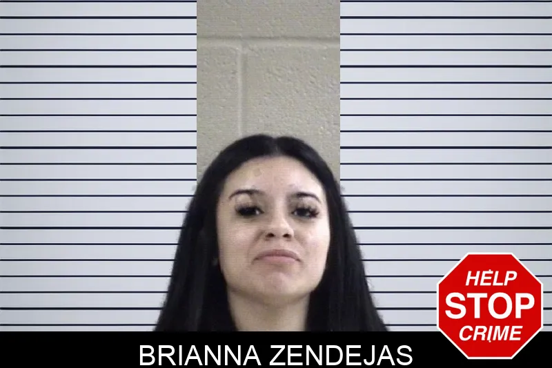 Brianna Zendejas Mugshots