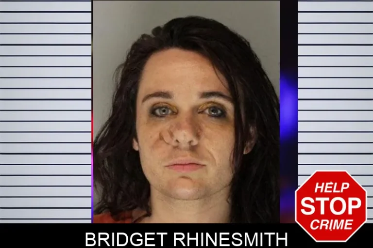 Bridget Rhinesmith mugshot – Hall County , Georgia Bridget Rhinesmith