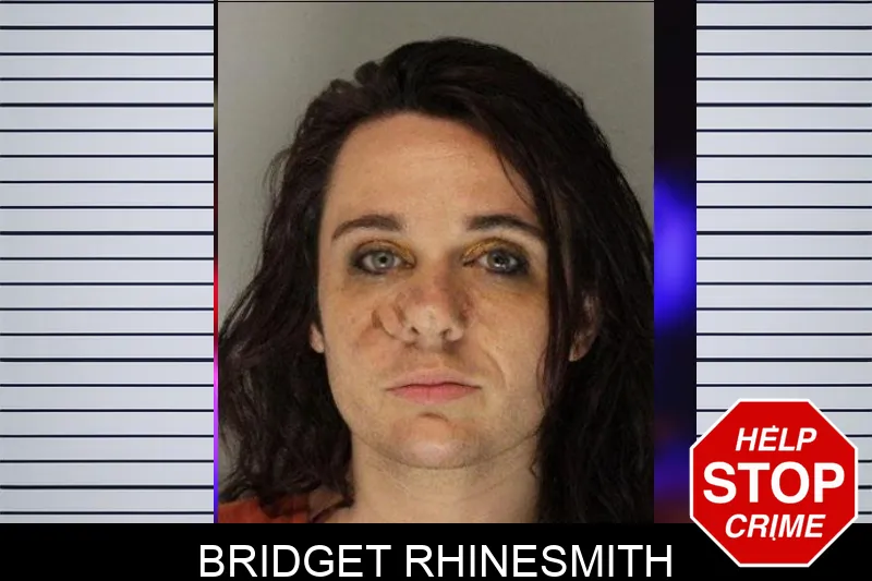 Bridget Rhinesmith mugshot – Hall County , Georgia Bridget Rhinesmith mugshot