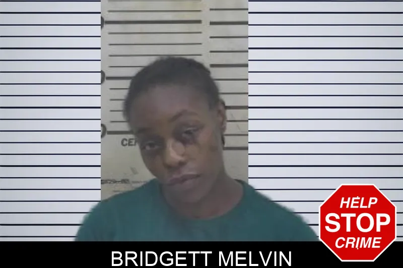 Bridgett Melvin Mugshots