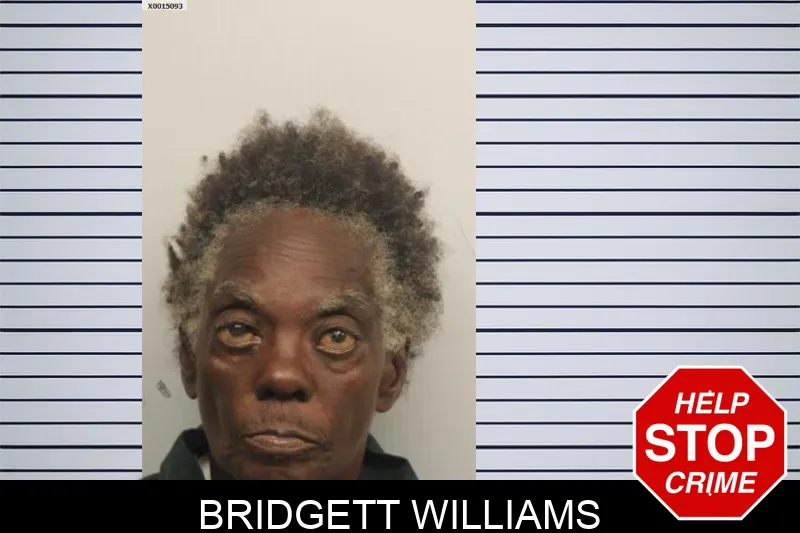 Bridgett Williams mugshot