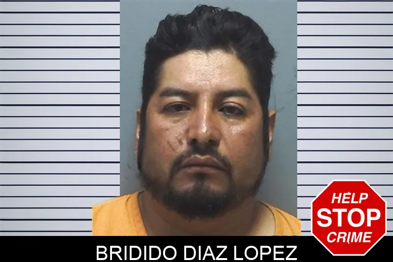 Bridido Diaz Lopez mugshot – Cherokee County , Georgia Bridido Diaz Lopez mugshot