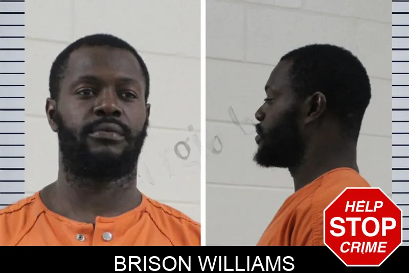 Brison Williams mugshot – Houston County , Georgia Brison Williams mugshot