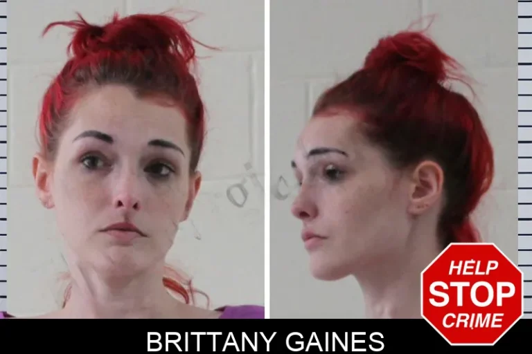 Brittany Gaines mugshot – Houston County , Georgia Brittany Gaines