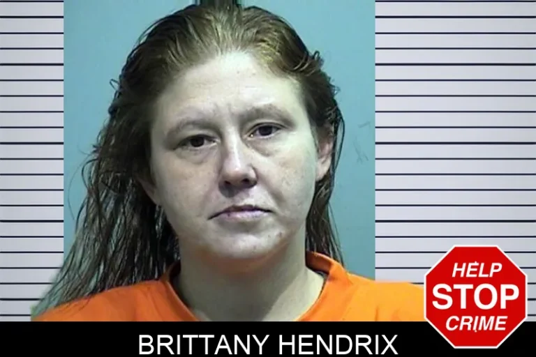 Brittany Hendrix mugshot – Effingham County , Georgia Brittany Hendrix