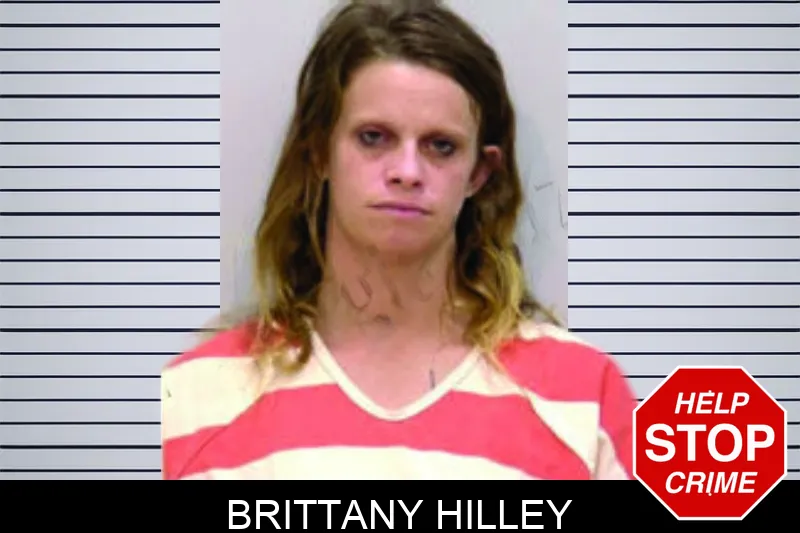 Brittany Hilley mugshot – Bartow County , Georgia Brittany Hilley mugshot