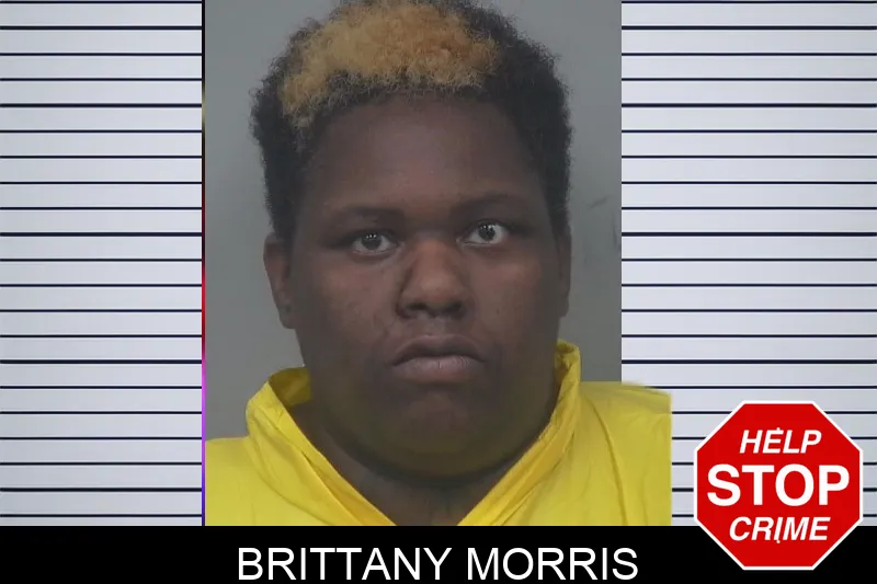 Brittany Morris mugshot – Gwinnett County , Georgia Brittany Morris mugshot