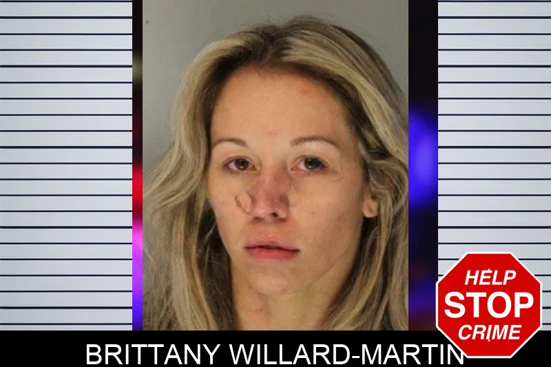 Brittany Willard-Martin mugshot – Hall County , Georgia Brittany Willard-Martin mugshot