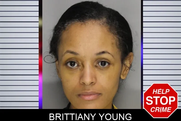 Brittiany Young mugshot – Cobb County , Georgia Brittiany Young