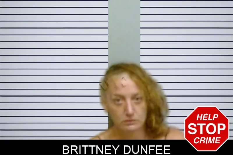 Brittney Dunfee Mugshots