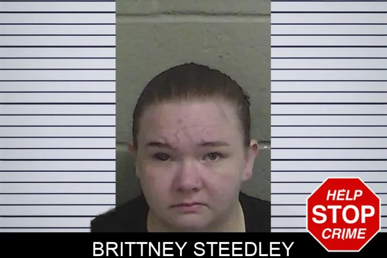 Brittney Steedley mugshot – Wayne County , Georgia Brittney Steedley