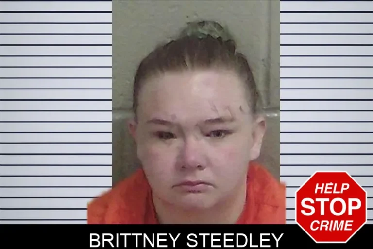 Brittney Steedley mugshot – Wayne County , Georgia Brittney Steedley