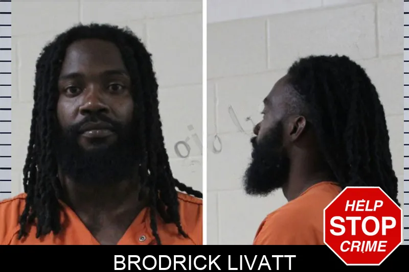 Brodrick Livatt mugshot – Houston County , Georgia Brodrick Livatt mugshot