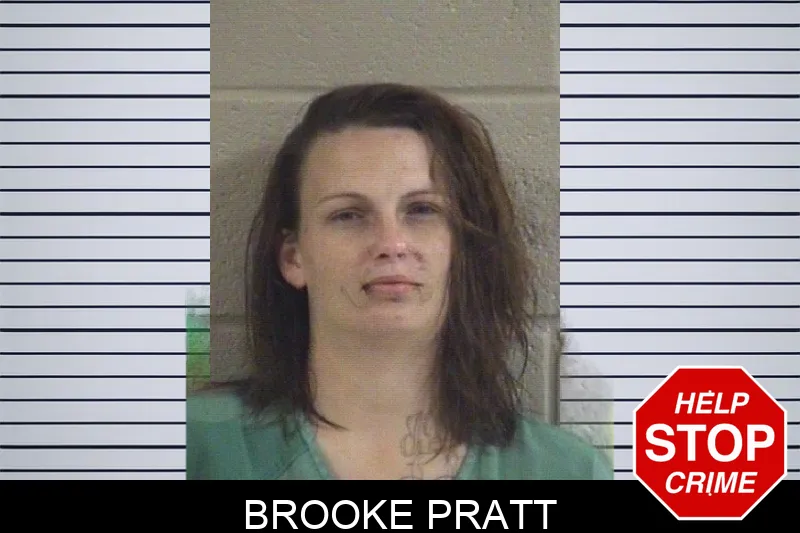 Brooke Pratt mugshot – Whitfield County , Georgia Brooke Pratt mugshot