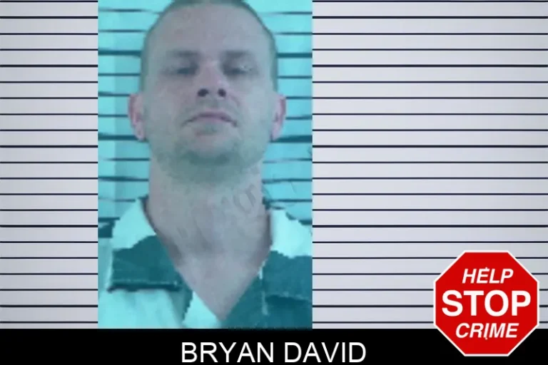 Bryan David mugshot – Stephens County , Georgia Bryan David