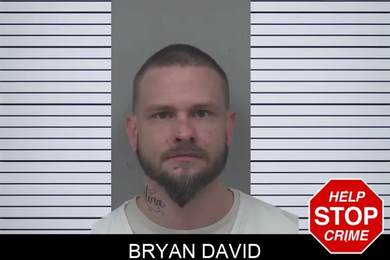 Bryan David