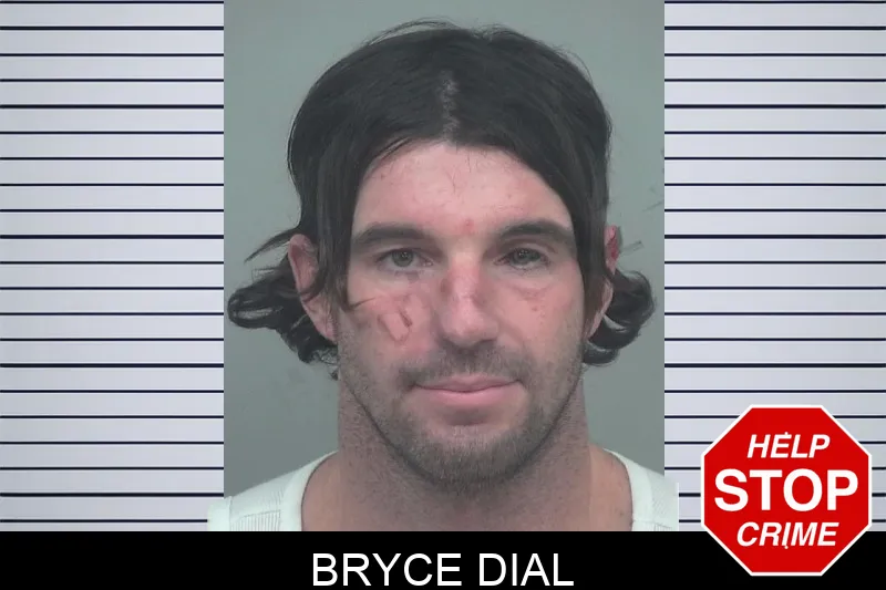 Bryce Dial mugshot – Gwinnett County , Georgia Bryce Dial mugshot
