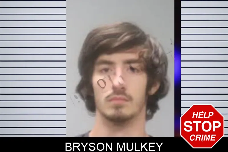 Bryson Mulkey mugshot – Muscogee County , Georgia Bryson Mulkey mugshot