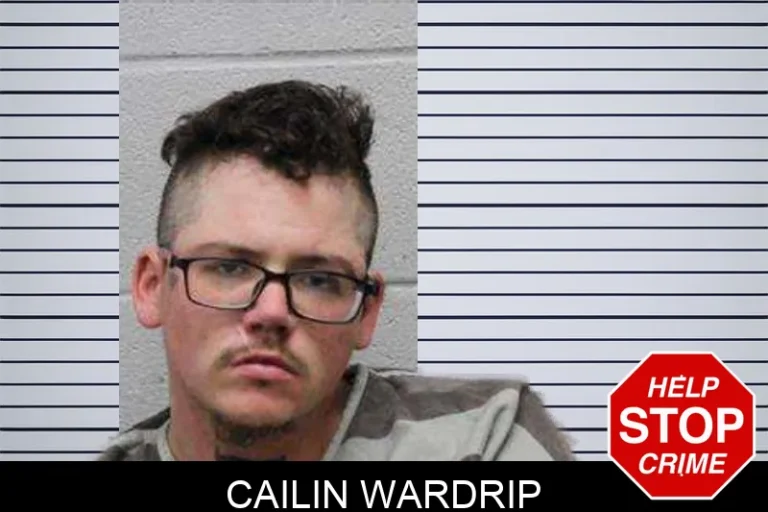 Cailin Wardrip mugshot – Harris County , Georgia Cailin Wardrip