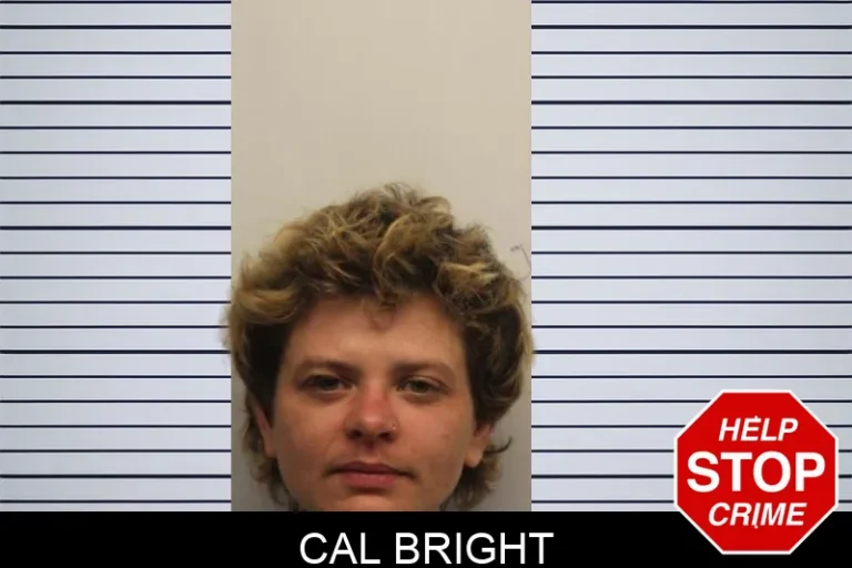 Cal Bright mugshot – Chatham County , Georgia Cal Bright