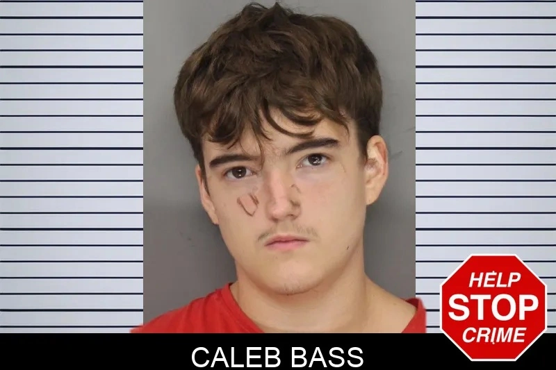 Caleb Bass mugshot – Cobb County , Georgia Caleb Bass mugshot