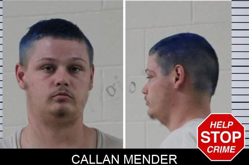 Callan Mender mugshot – Houston County , Georgia Callan Mender mugshot