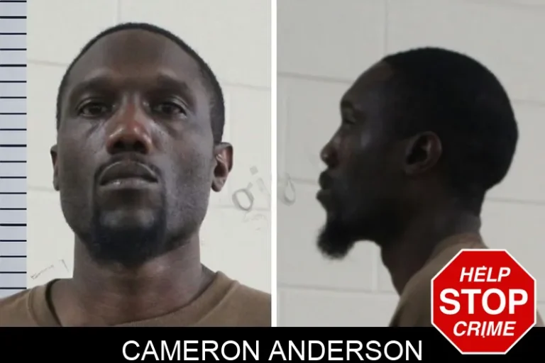 Cameron Anderson mugshot – Houston County , Georgia Cameron Anderson