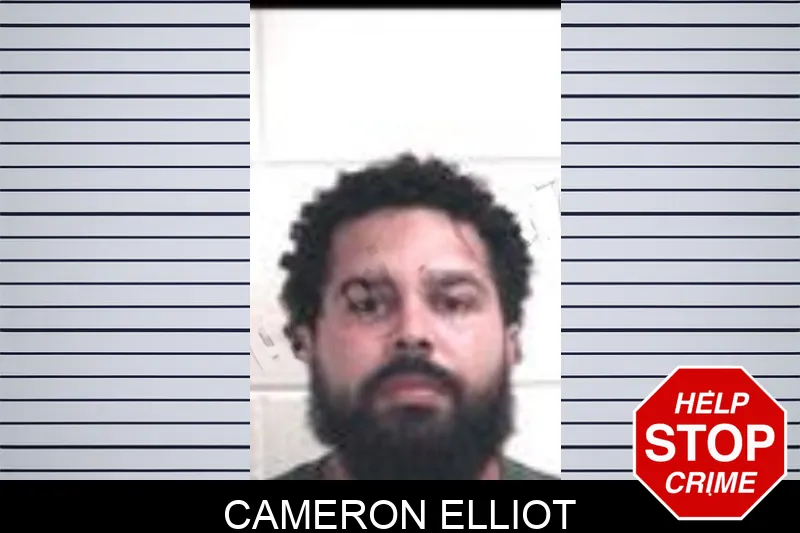 Cameron Elliot Mugshots