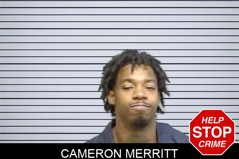 Cameron Merritt mugshot – Fulton County , Georgia Cameron Merritt mugshot