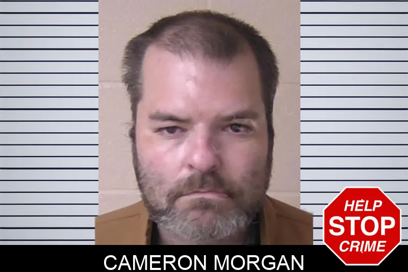 Cameron Morgan mugshot – Walker County , Georgia Cameron Morgan mugshot