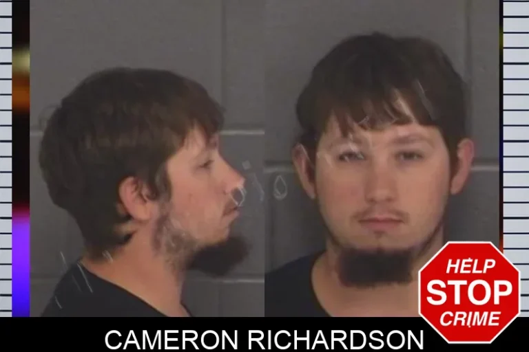 Cameron Richardson mugshot – Barrow County , Georgia Cameron Richardson