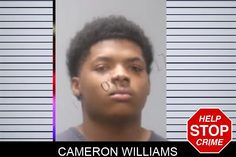 Cameron Williams Mugshots