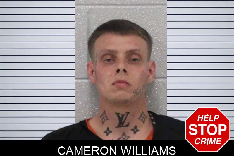 Cameron Williams Mugshots