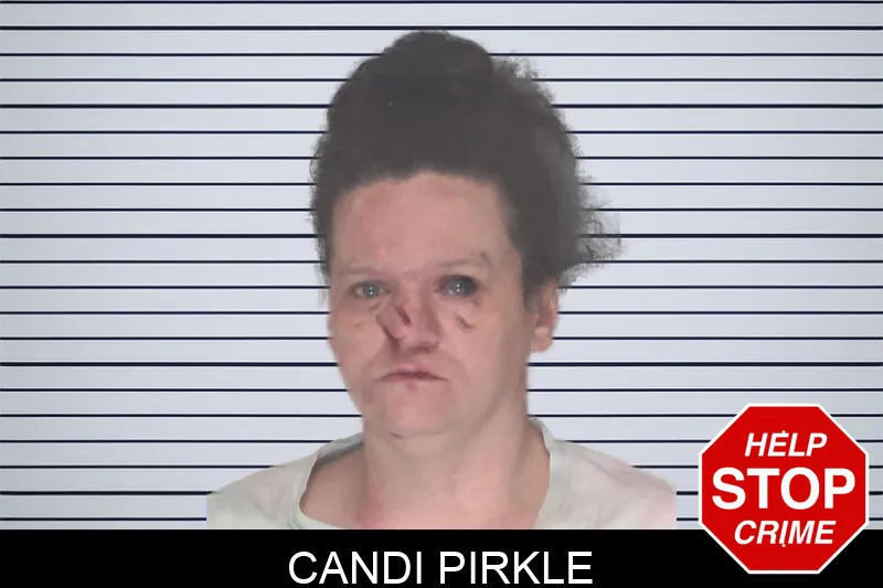 Candi Pirkle Mugshots