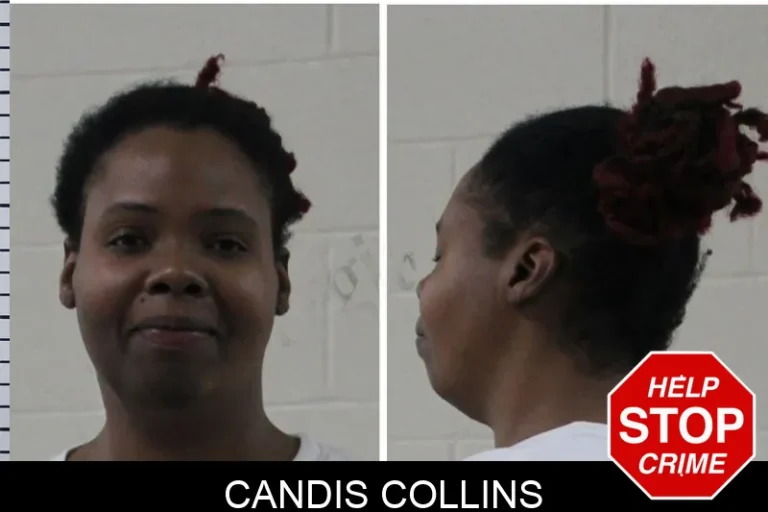 Candis Collins mugshot – Houston County , Georgia Candis Collins