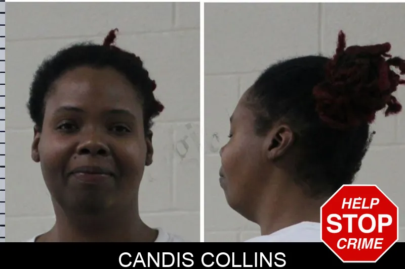 Candis Collins mugshot