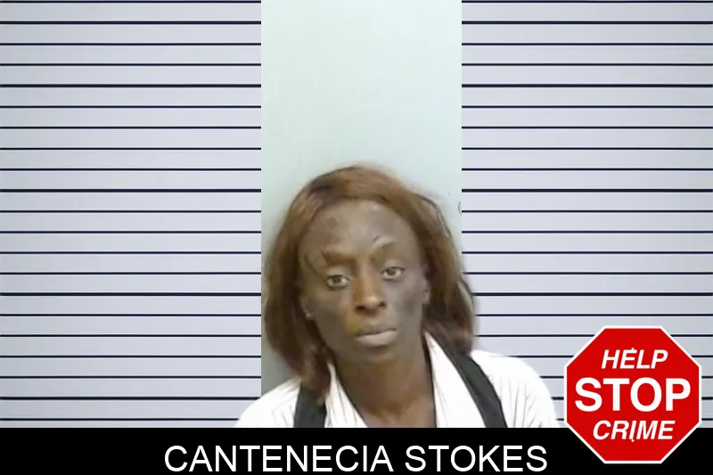 Cantenecia Stokes