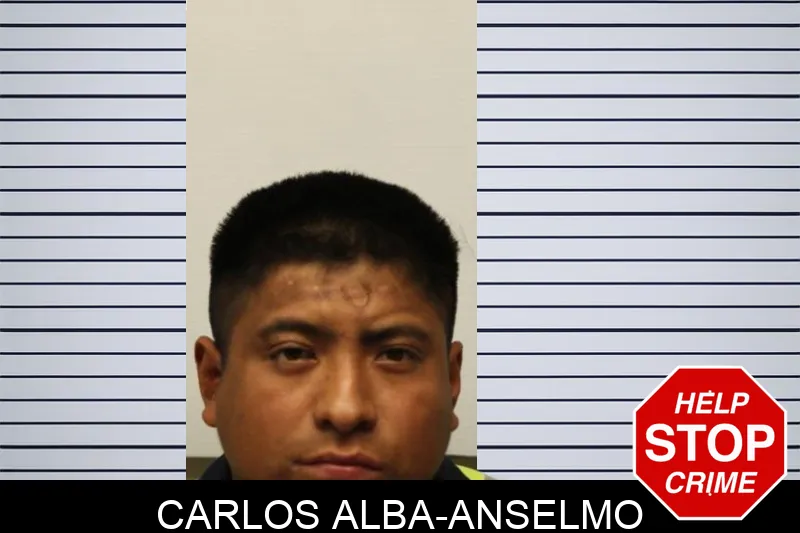Carlos Alba-Anselmo mugshot – Chatham County , Georgia Carlos Alba-Anselmo mugshot