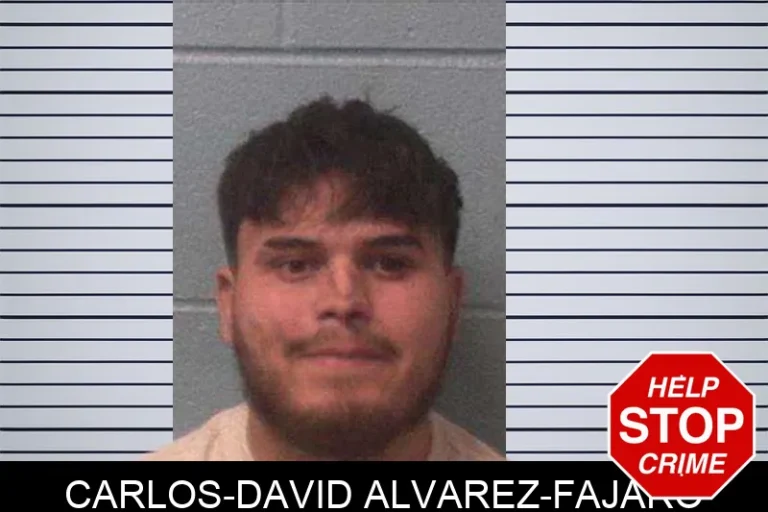 Carlos-David Alvarez-Fajaro