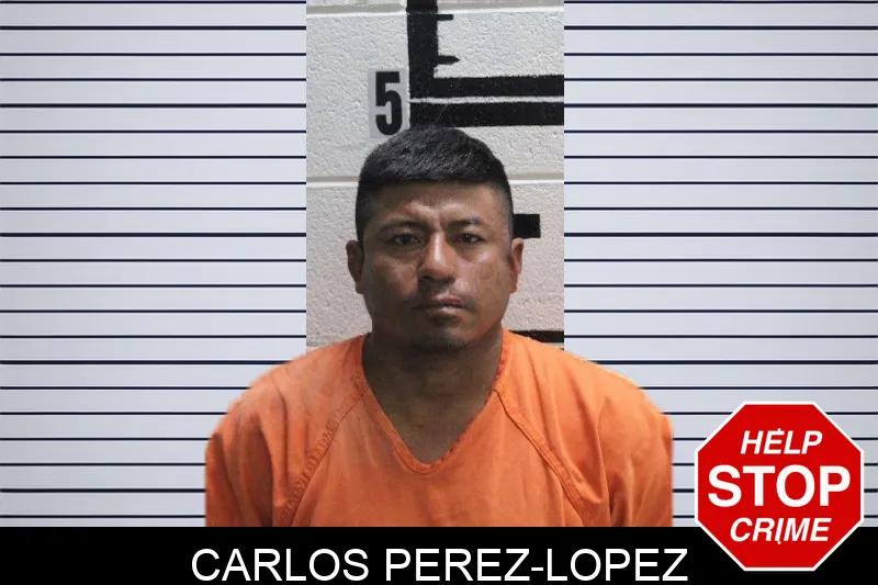 Carlos Perez-Lopez
