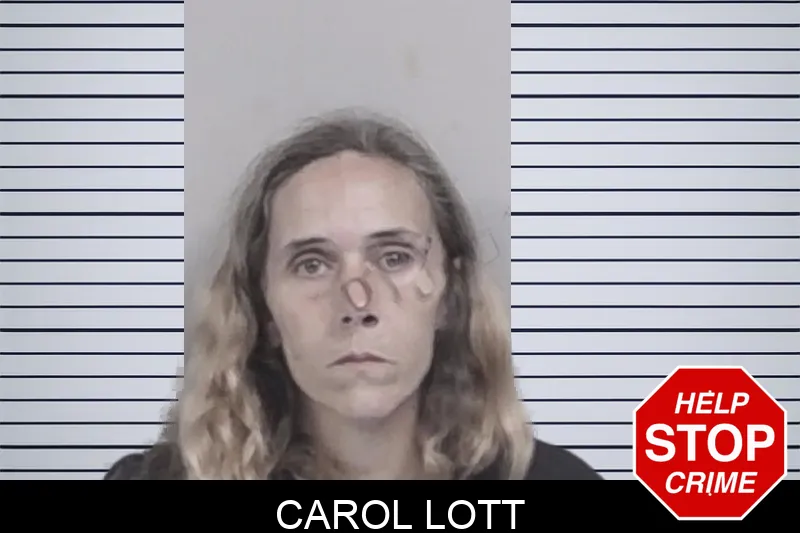 Carol Lott mugshot