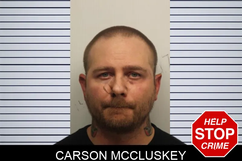 Carson McCluskey mugshot – Chatham County , Georgia Carson McCluskey mugshot