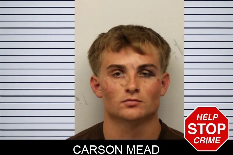 Carson Mead Mugshots