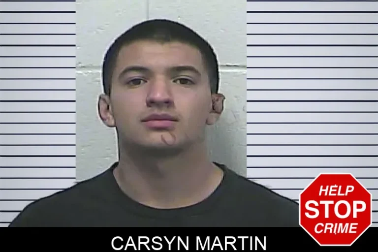 Carsyn Martin mugshot – Dawson County , Georgia Carsyn Martin