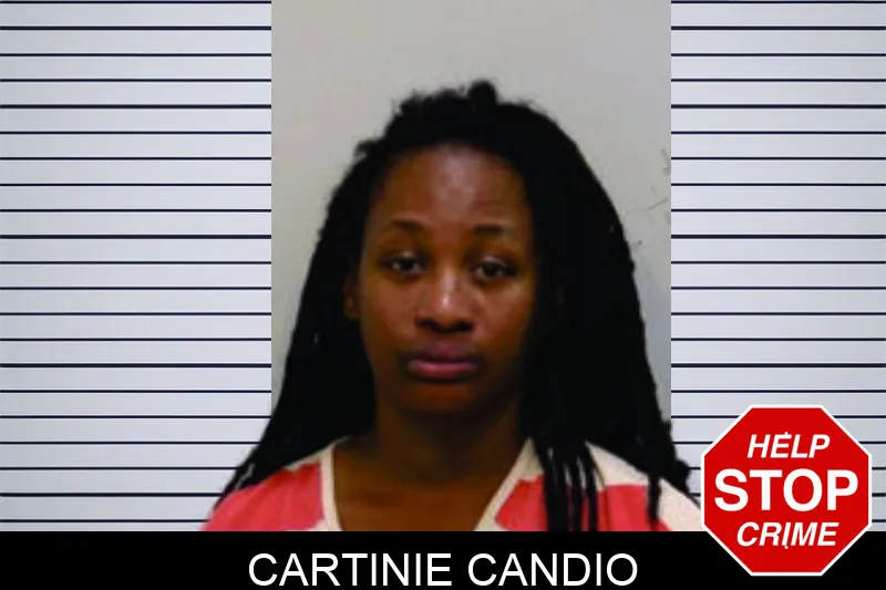 Cartinie Candio mugshot – Bartow County , Georgia Cartinie Candio mugshot