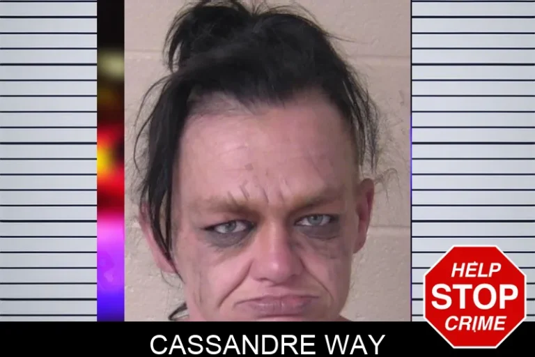 Cassandre Way