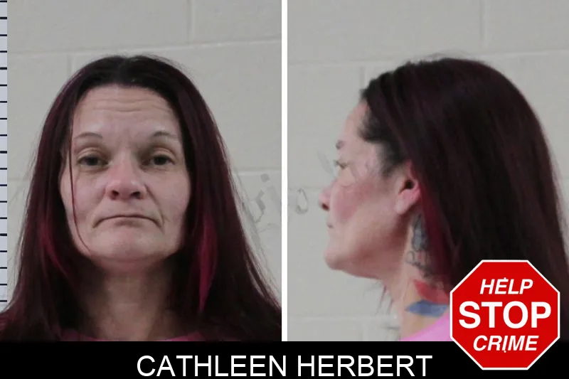 Cathleen Herbert Mugshots
