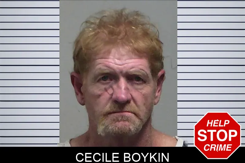 Cecile Boykin Mugshots